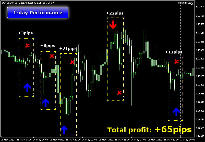50 pips a day forex